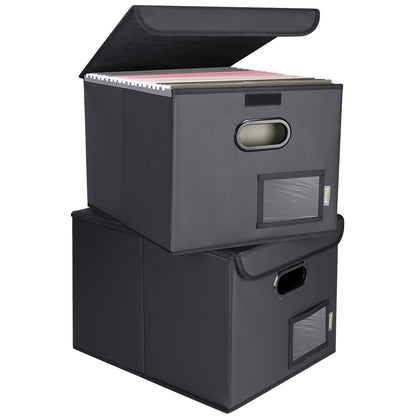 BALEINE File Organizer Box with Lid, Collapsible Hanging File Storage Box