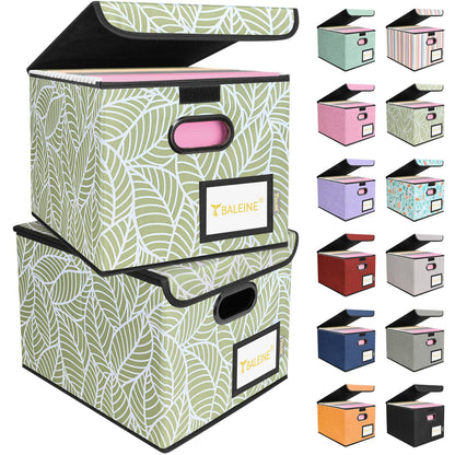 BALEINE File Organizer Box with Lid, Collapsible Hanging File Storage Box