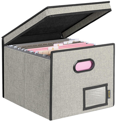 BALEINE File Organizer Box with Lid, Collapsible Hanging File Storage Box