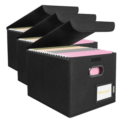 BALEINE File Organizer Box with Lid, Collapsible Hanging File Storage Box