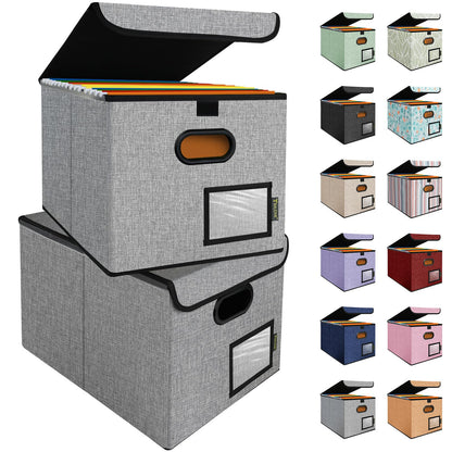 BALEINE File Organizer Box with Lid, Collapsible Hanging File Storage Box
