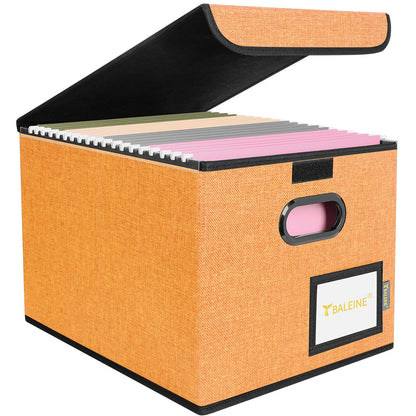BALEINE File Organizer Box with Lid, Collapsible Hanging File Storage Box