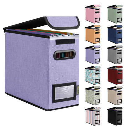 BALEINE File Organizer Box with Lid, Collapsible Hanging File Storage Box