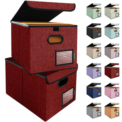 BALEINE File Organizer Box with Lid, Collapsible Hanging File Storage Box
