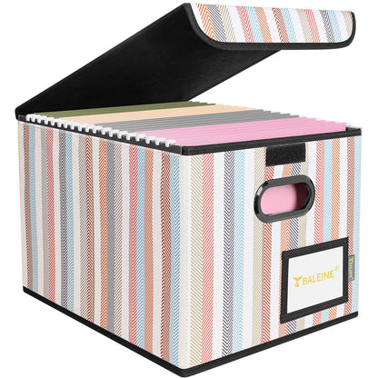 BALEINE File Organizer Box with Lid, Collapsible Hanging File Storage Box