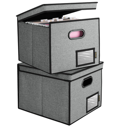 BALEINE File Organizer Box with Lid, Collapsible Hanging File Storage Box