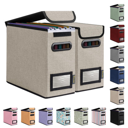 BALEINE File Organizer Box with Lid, Collapsible Hanging File Storage Box