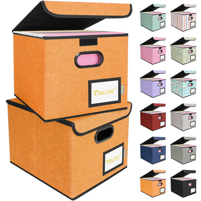 BALEINE File Organizer Box with Lid, Collapsible Hanging File Storage Box