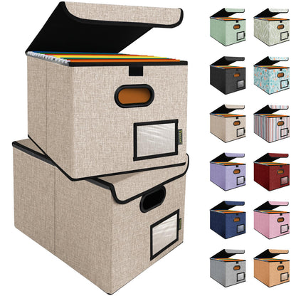 BALEINE File Organizer Box with Lid, Collapsible Hanging File Storage Box
