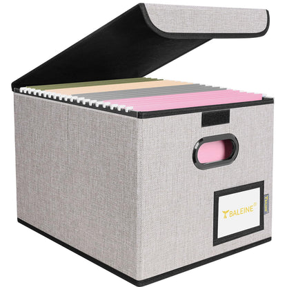 BALEINE File Organizer Box with Lid, Collapsible Hanging File Storage Box
