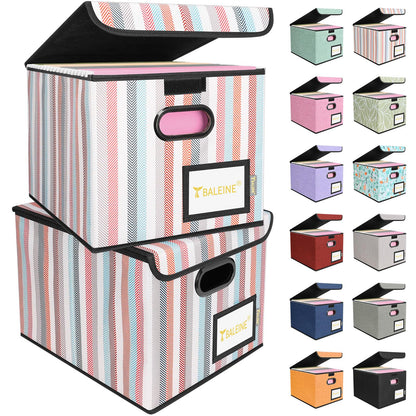 BALEINE File Organizer Box with Lid, Collapsible Hanging File Storage Box