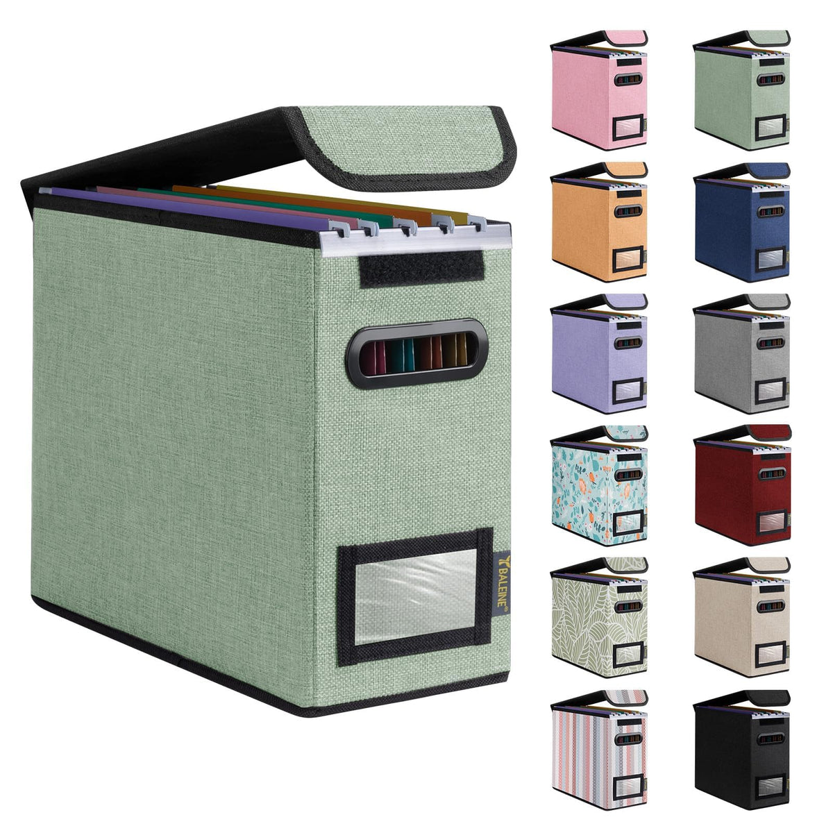 BALEINE File Organizer Box with Lid, Collapsible Hanging File Storage Box