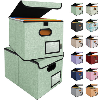 BALEINE File Organizer Box with Lid, Collapsible Hanging File Storage Box
