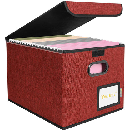 BALEINE File Organizer Box with Lid, Collapsible Hanging File Storage Box