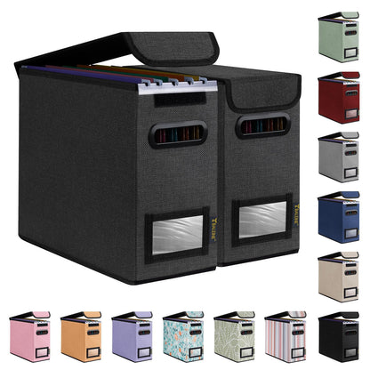 BALEINE File Organizer Box with Lid, Collapsible Hanging File Storage Box