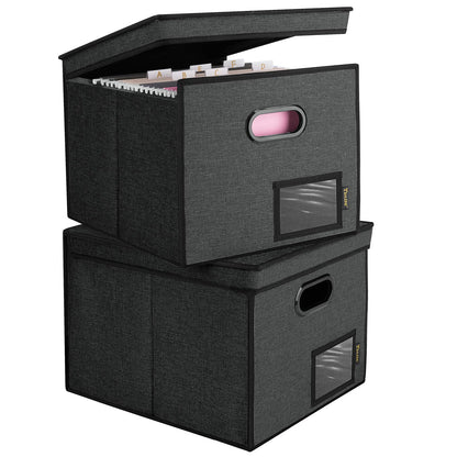 BALEINE File Organizer Box with Lid, Collapsible Hanging File Storage Box