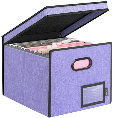 BALEINE File Organizer Box with Lid, Collapsible Hanging File Storage Box