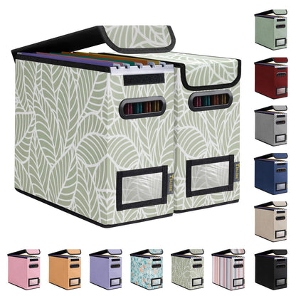 BALEINE File Organizer Box with Lid, Collapsible Hanging File Storage Box